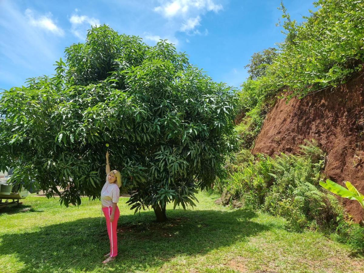 Villa Mirella Island Princess Anse Volbert Village